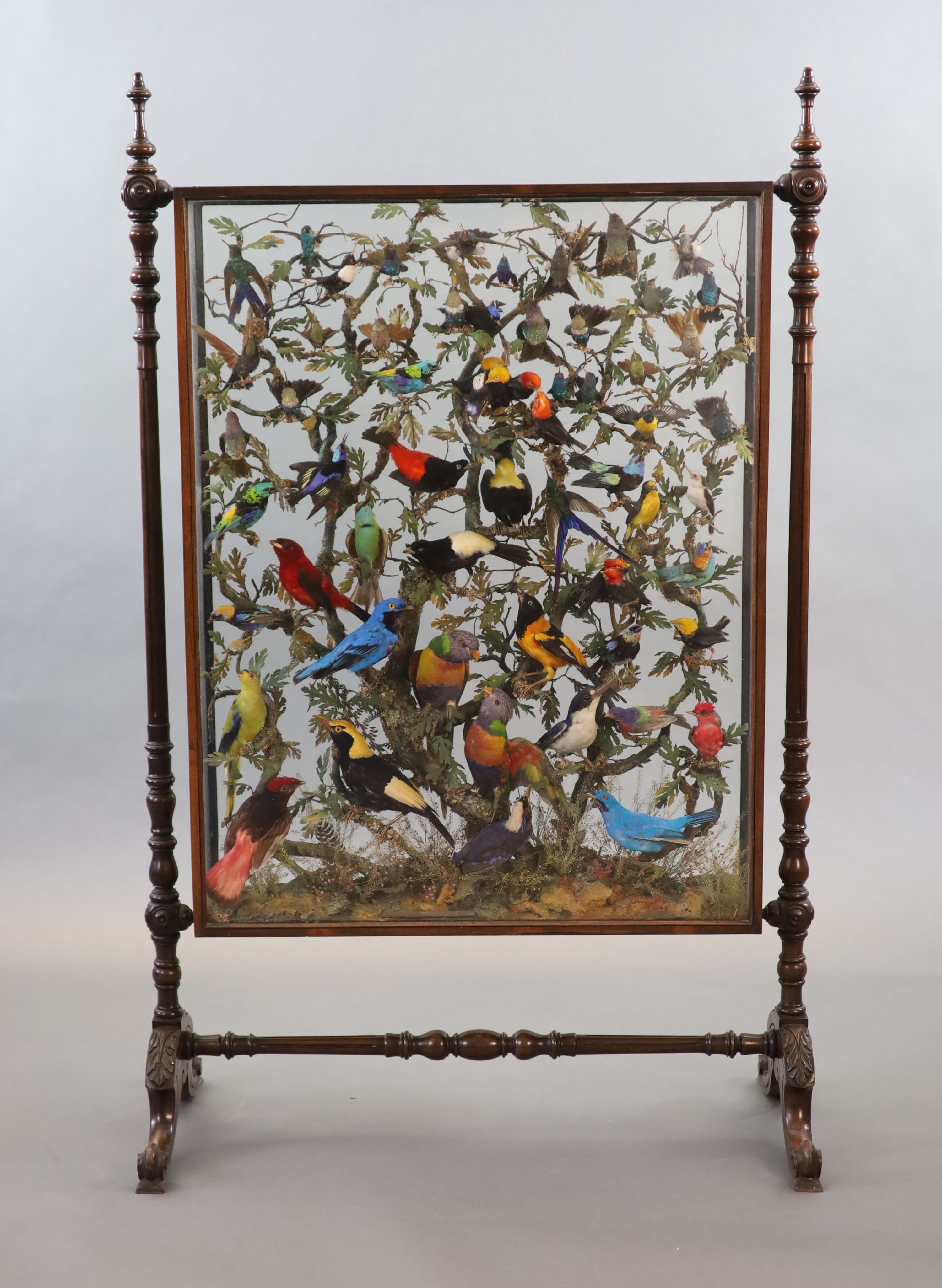 A large and impressive arboreal taxidermy arrangement, 19th century 72cm wide, 14cm deep, 137cm high (maximum)